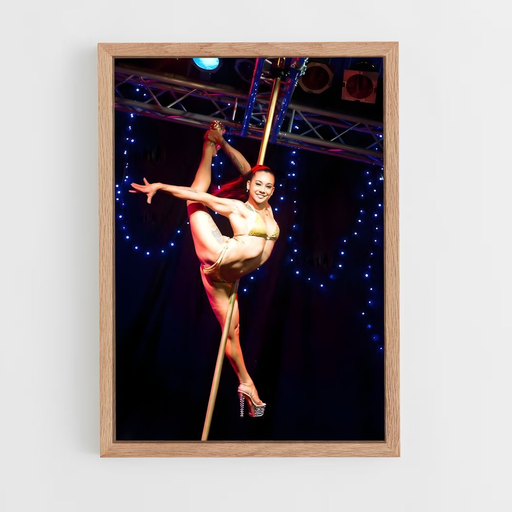 Poster Pole Dance Fever – affiche Danse (vue 4)
